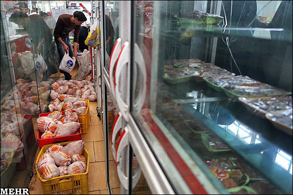 توزیع مرغ منجمد در سطح شهر کرمانشاه با قیمت ۴۹۰۰ تومان