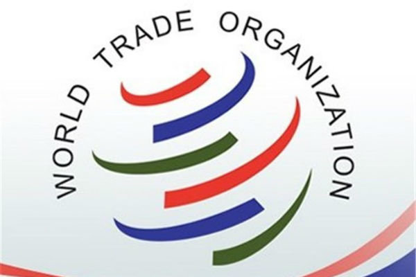 مجلس افغانستان پیوستن این کشور به سازمان تجارت جهانی را تایید کرد