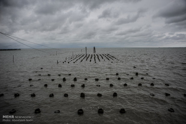 پایه های اسکله بندرترکمن در خلیج گرگان بدلیل پس روی اب دریای خزر در حال از بین رفتن است.