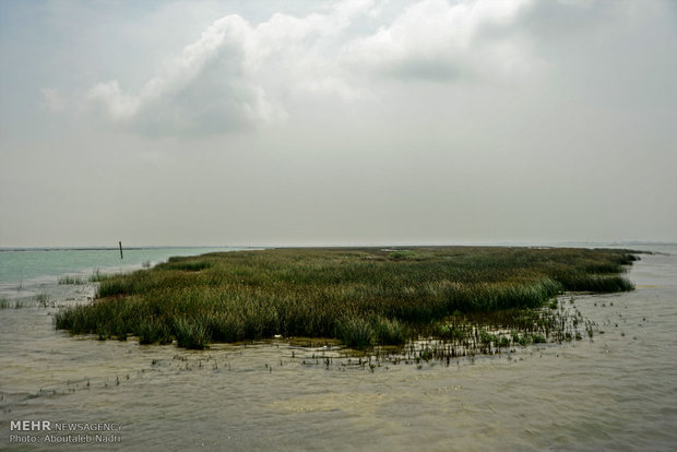 فضای خشک شده بستر دریا و جزیره ای در حد فاصل جزیره آشوراده و دریای خزر در کانال چاپقلی