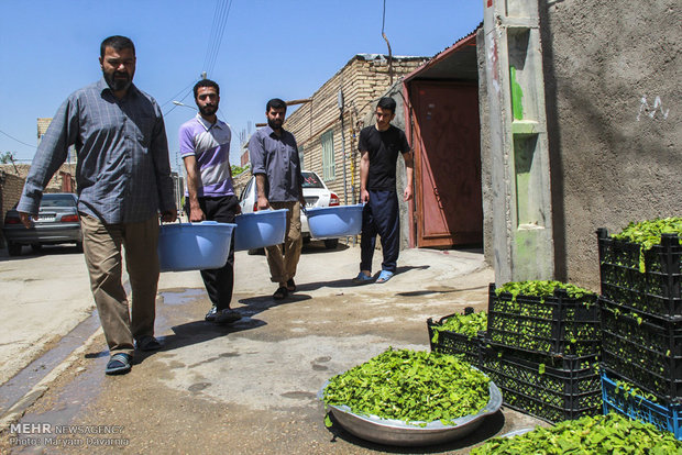 10 tons of Ash Reshteh to serve fast people