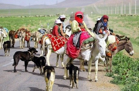 آغاز کوچ ییلاقی عشایر آذربایجان غربی/وقتی زندگی طعم طبیعت میگیرد ...