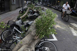 طوفان در چین ۹۸ کشته و ۸۰۰ زخمی برجای گذاشت