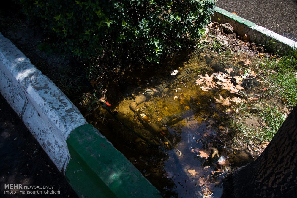 خرمآبادِ تشنه؛ آبیاریِ فضای سبز با آب شرب!