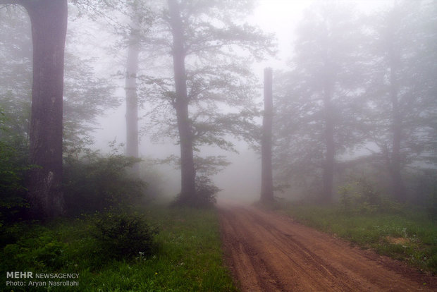 Golestan, green paradise of Iran