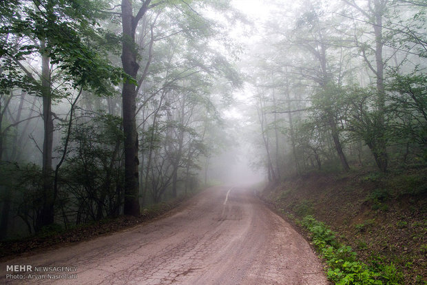 Golestan, green paradise of Iran