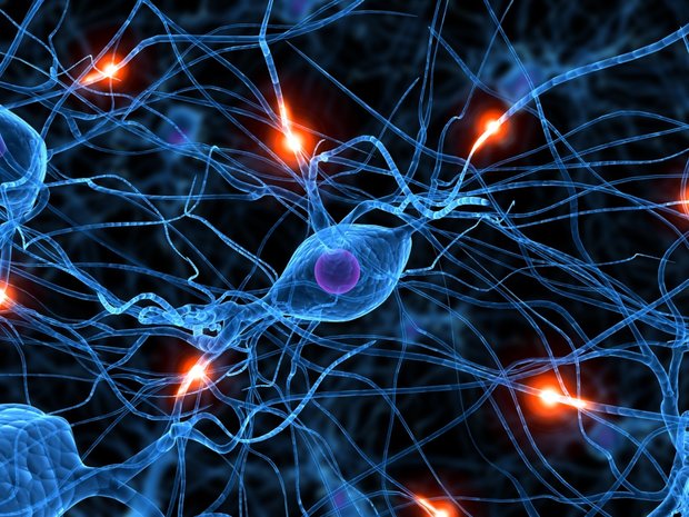 Neuroscience 2016 admits five Iranian students’ articles