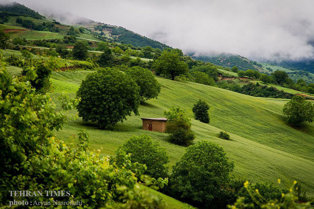 Golestan, green paradise of Iran