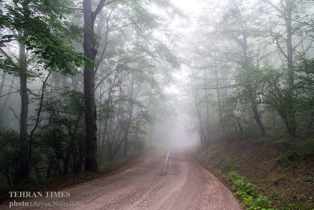 Golestan, green paradise of Iran