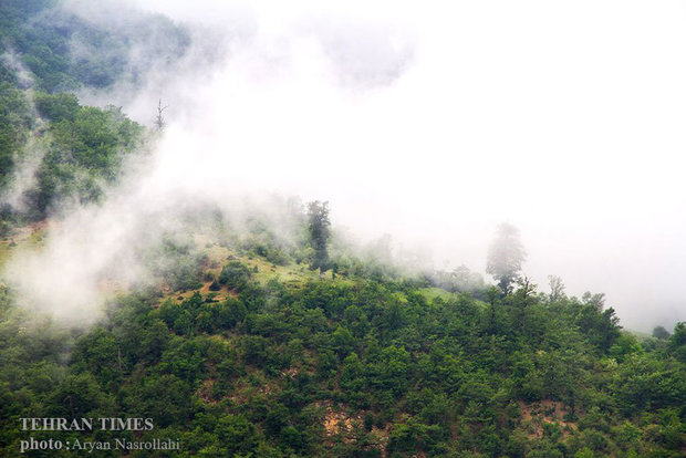 Golestan, green paradise of Iran