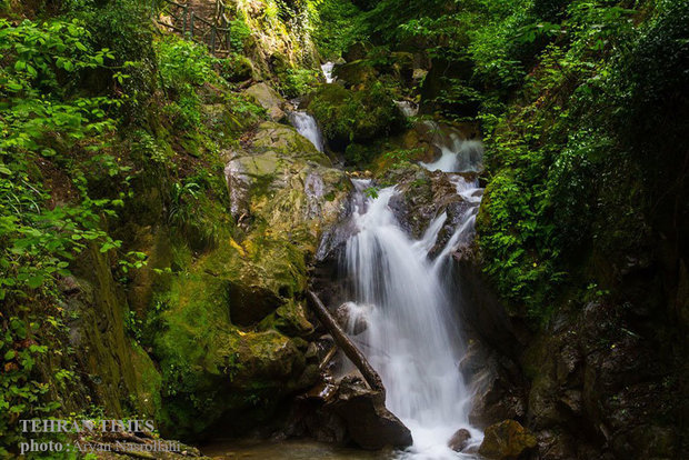 Golestan, green paradise of Iran