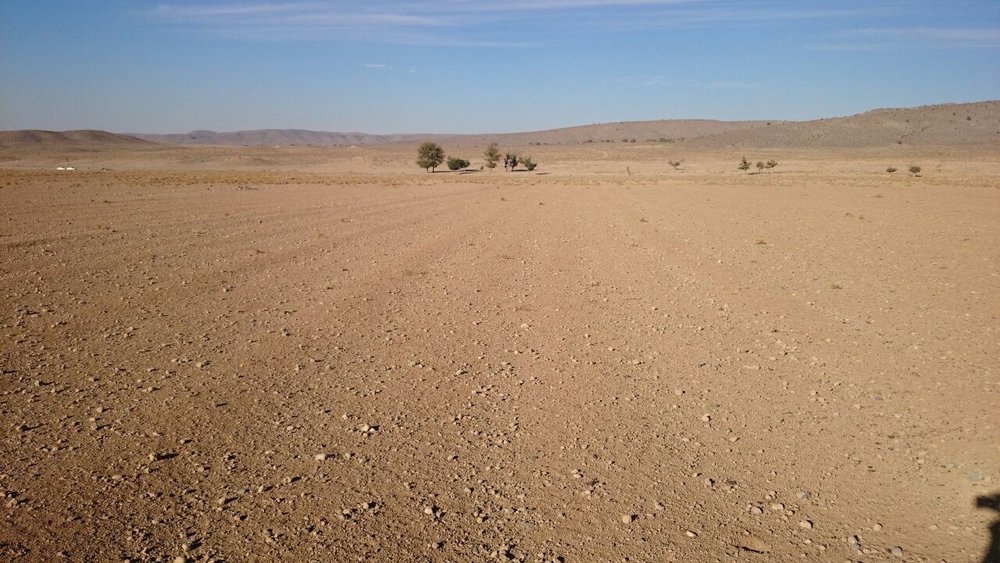 10 MQ-1.jpg