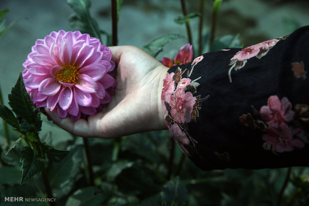 Mahallati Flower Market in Tehran