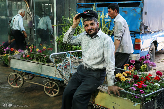 Mahallati Flower Market in Tehran