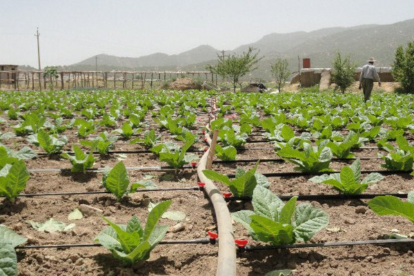 کمبود منابع مالی اجرای خط سبز آبرسانی یزد را به تعویق انداخت