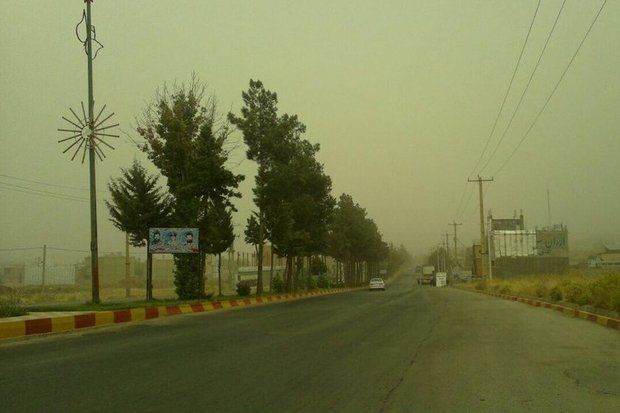 گرد و غبار در استان بوشهر/ تلاطم دریا تا فردا ادامه دارد