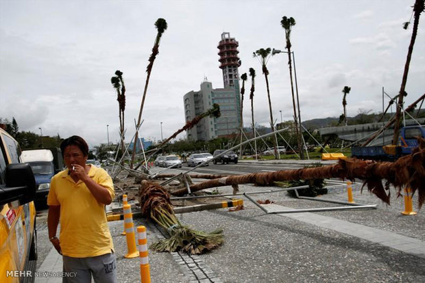طوفان نپارتاک در تایوان‎