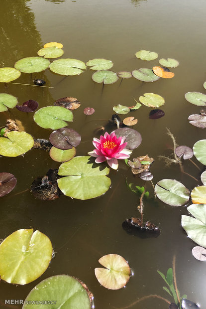 National Botanical Garden of Iran