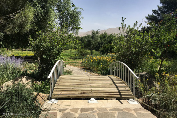 National Botanical Garden of Iran