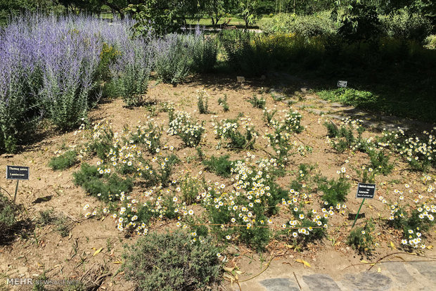 National Botanical Garden of Iran