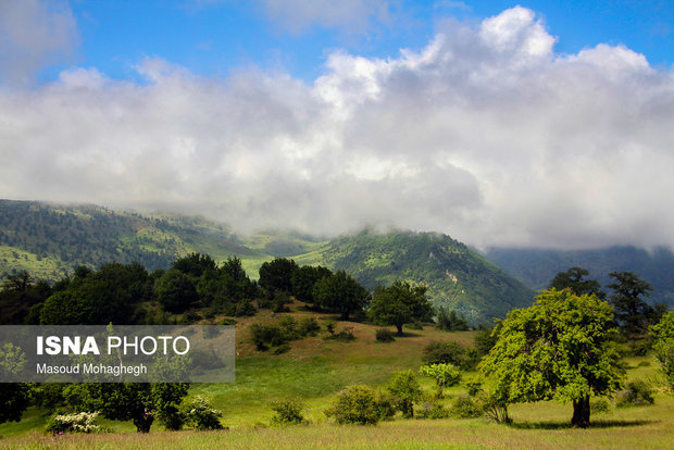 Cloud forest in Shahrud