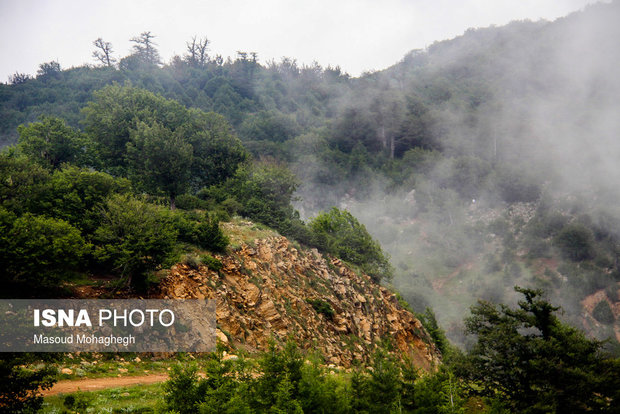 Cloud forest in Shahrud