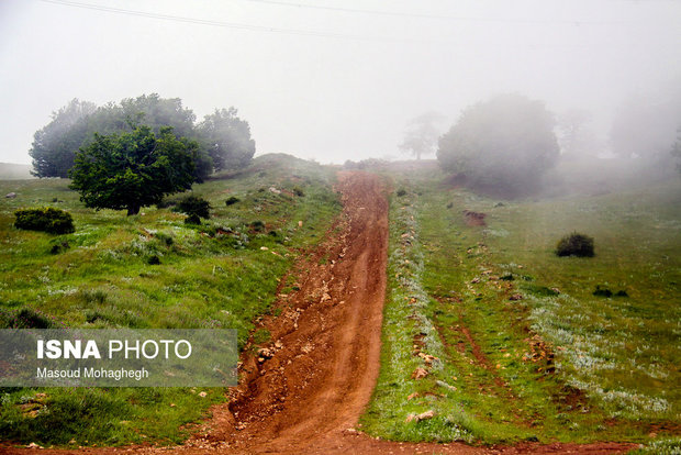 Cloud forest in Shahrud