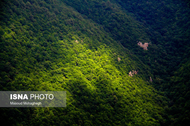 Cloud forest in Shahrud