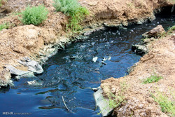 آلودگی نهرهای آب در برخی مناطق کرج/ مشکل دفع فاضلاب
