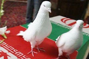 سید عباس رضوی به درجه رفیع شهادت نائل آمد