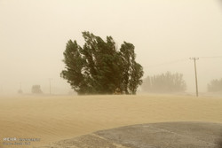 وزش باد شدید همراه با گرد و خاک در منطقه سیستان تداوم دارد
