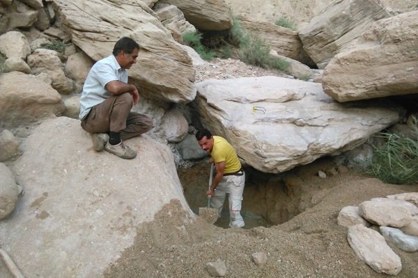 ۶ چشمه آبشخور حیات وحش در استان بوشهر احیاء شد