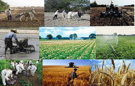 اختصاص ۱۰ هزار میلیارد برای خرید تضمینی محصولات کشاورزی