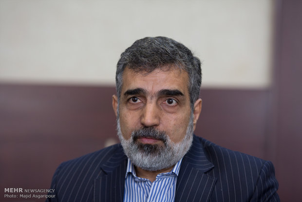 سخنگوی سازمان انرژی اتمی از خبرگزاری مهر بازدید کرد