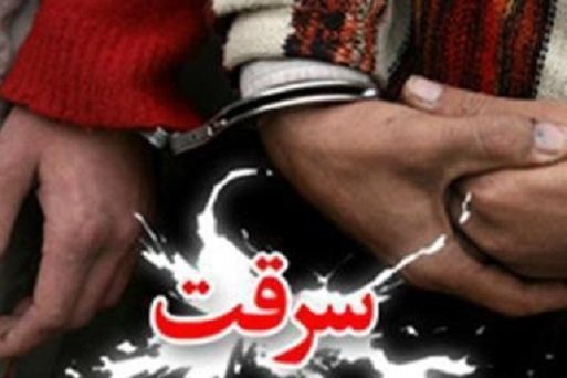 دستگیری سارق طلاجات کودکان در استان همدان
