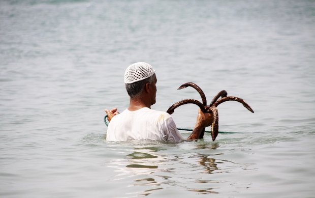 People of Qeshm celebrate Noruze Sayyad