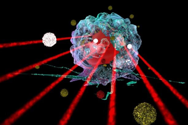 Researchers improve efficiency of cancer heat therapy 