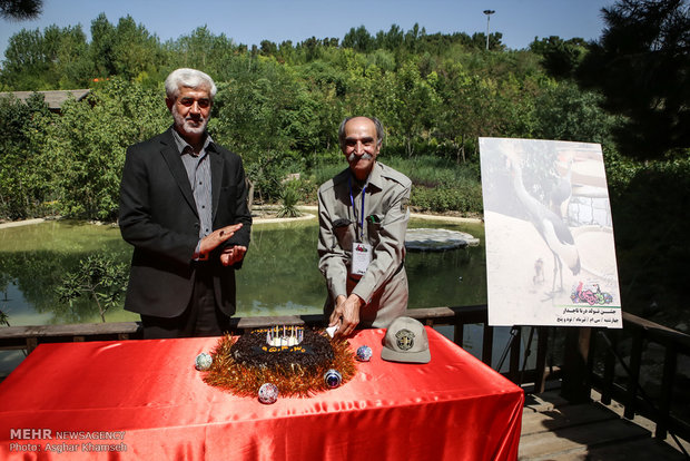 Iran celebrates grey crowned crane birthday 