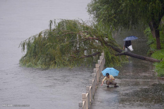 چین میں طوفانی بارشیں اور مختلف حادثات میں 12 افراد ہلاک