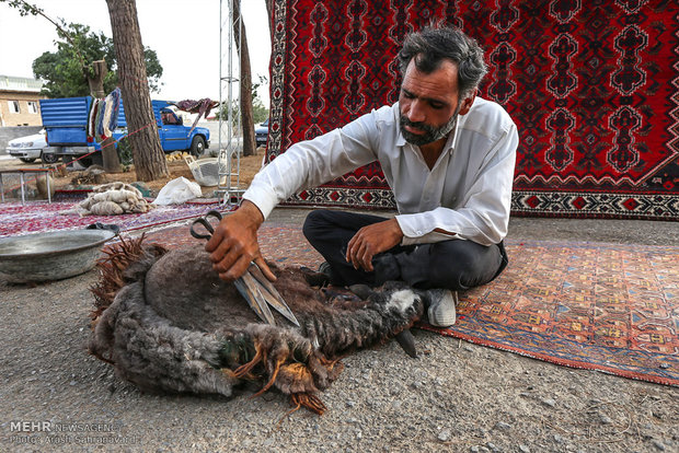 Traditional ceremony ‘Ghaliboran’ festival held