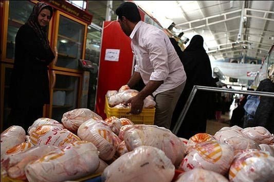 افزایش ۲۰۰ تومانی قیمت مرغ در بازار/مرغ ۷۹۰۰ تومان شد