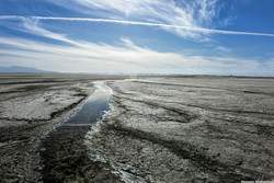 بحران اُفت کیفیت آب در ۴شهرستان استان مرکزی/ تداوم مصرف بی‌رویه
