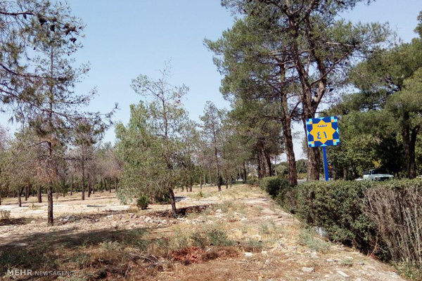 روایت متروکه ترین قطعه بهشت زهرا خبرگزاری مهر اخبار ایران و جهان Mehr News Agency