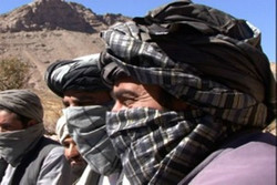 هفت فرمانده ارشد طالبان در «هلمند» کشته شدند