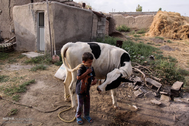 زندگی روستایی در روستاهای اطراف مشگین شهر