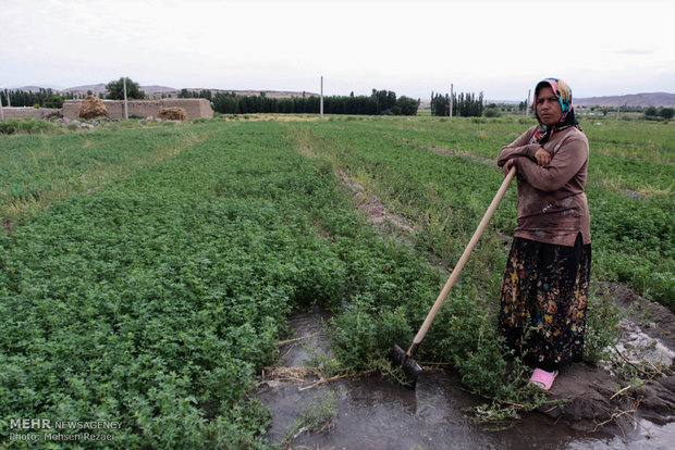 زندگی روستایی در روستاهای اطراف مشگین شهر