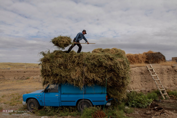 زندگی روستایی در روستاهای اطراف مشگین شهر