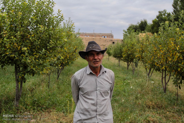 زندگی روستایی در روستاهای اطراف مشگین شهر