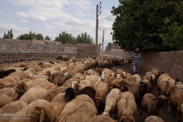 زندگی روستایی در روستاهای اطراف مشگین شهر