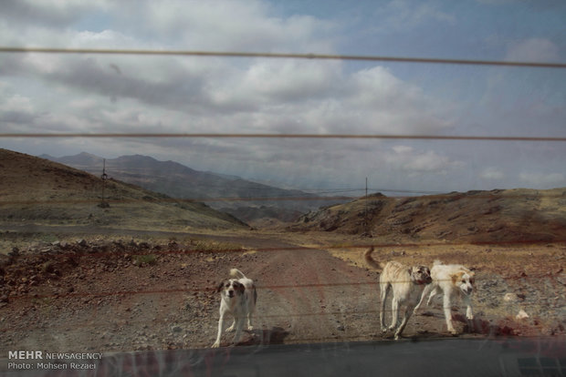 زندگی روستایی در روستاهای اطراف مشگین شهر